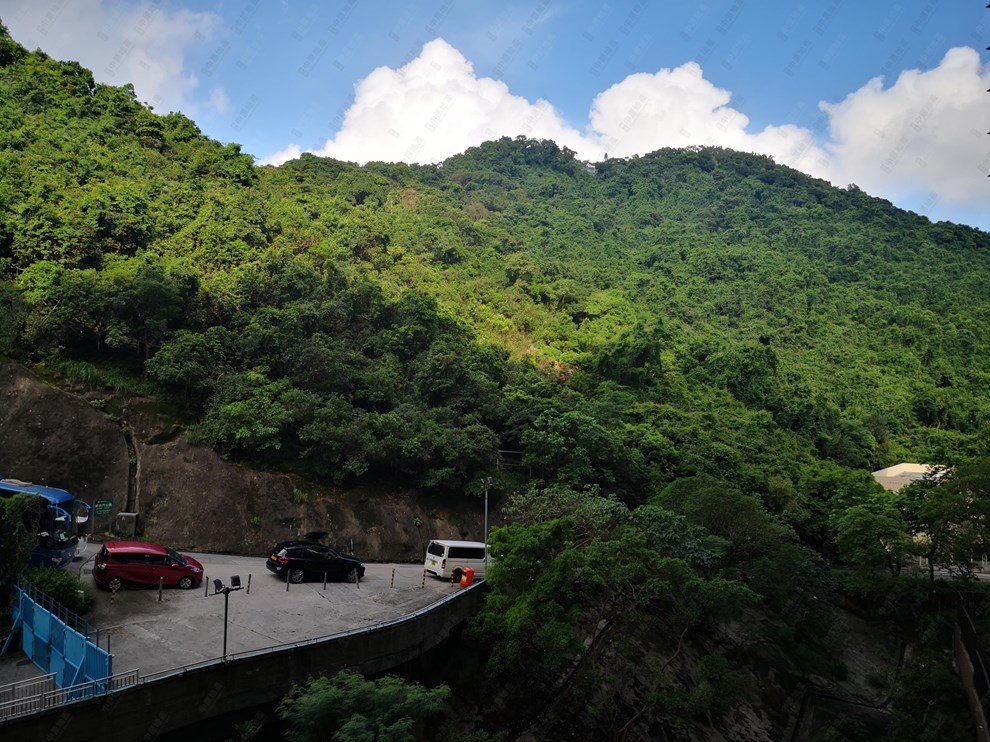 Outside View-Mountain View