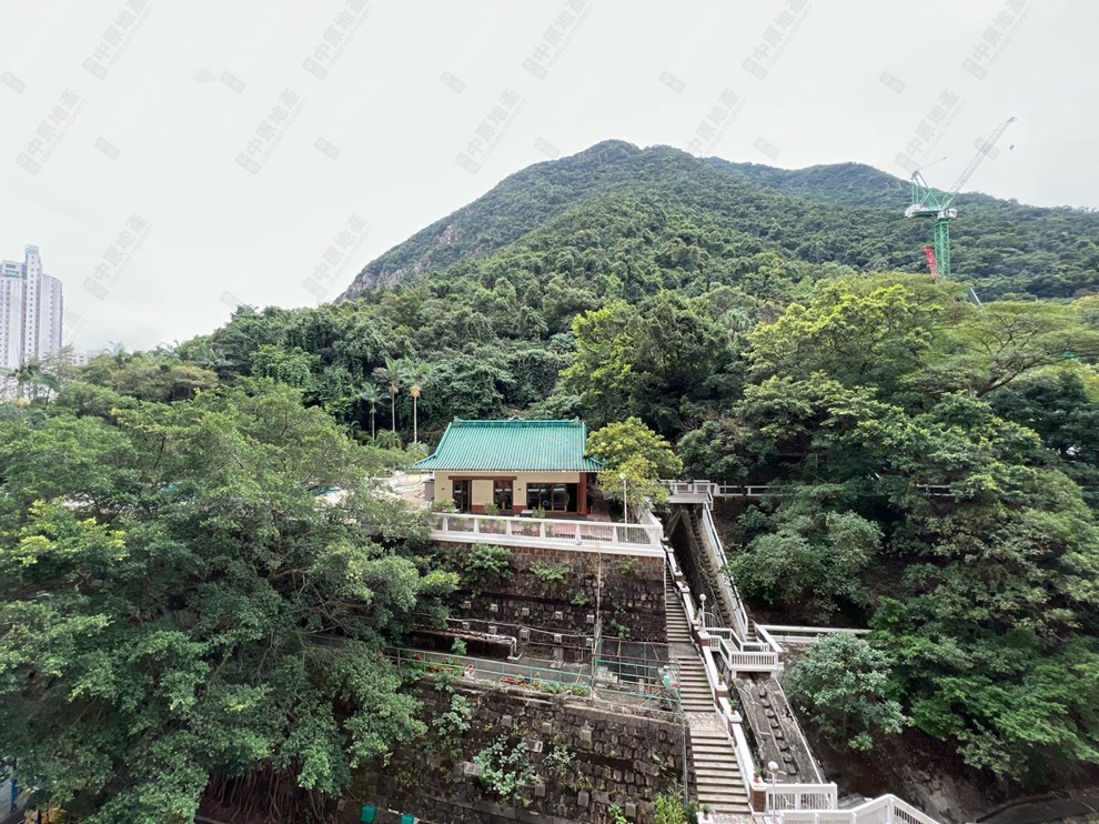 窗外景观-由露台