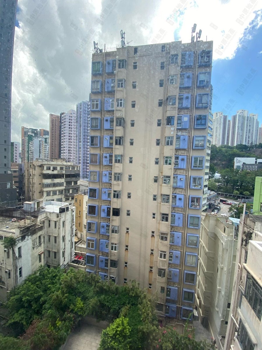 傲形, 相片