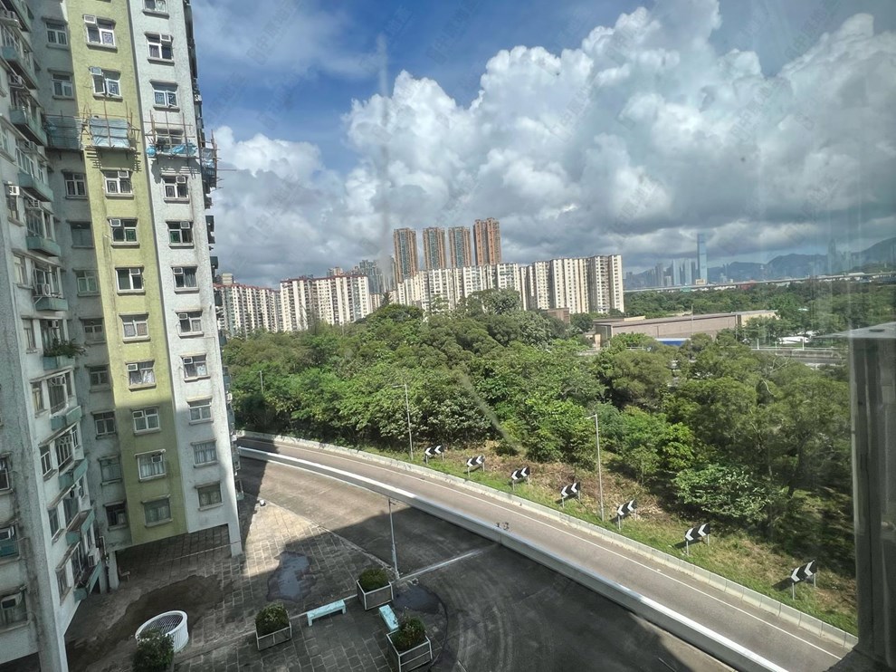 窗外景观-由客厅