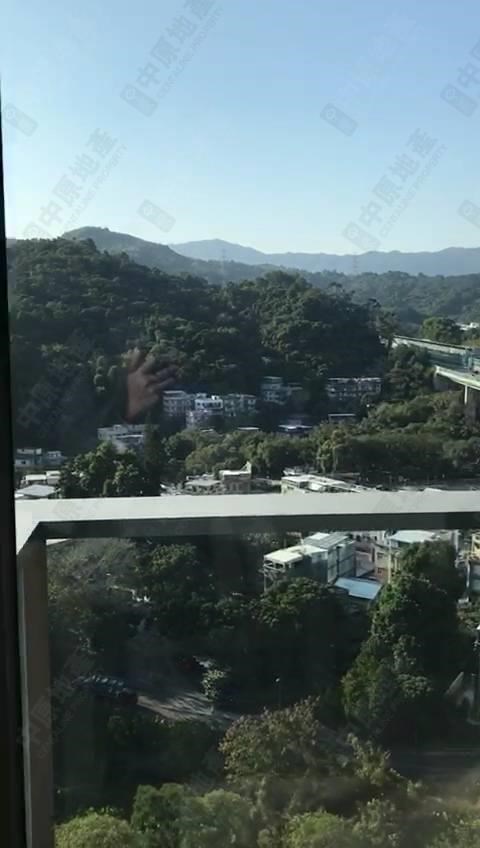 天钻 11座, 相片