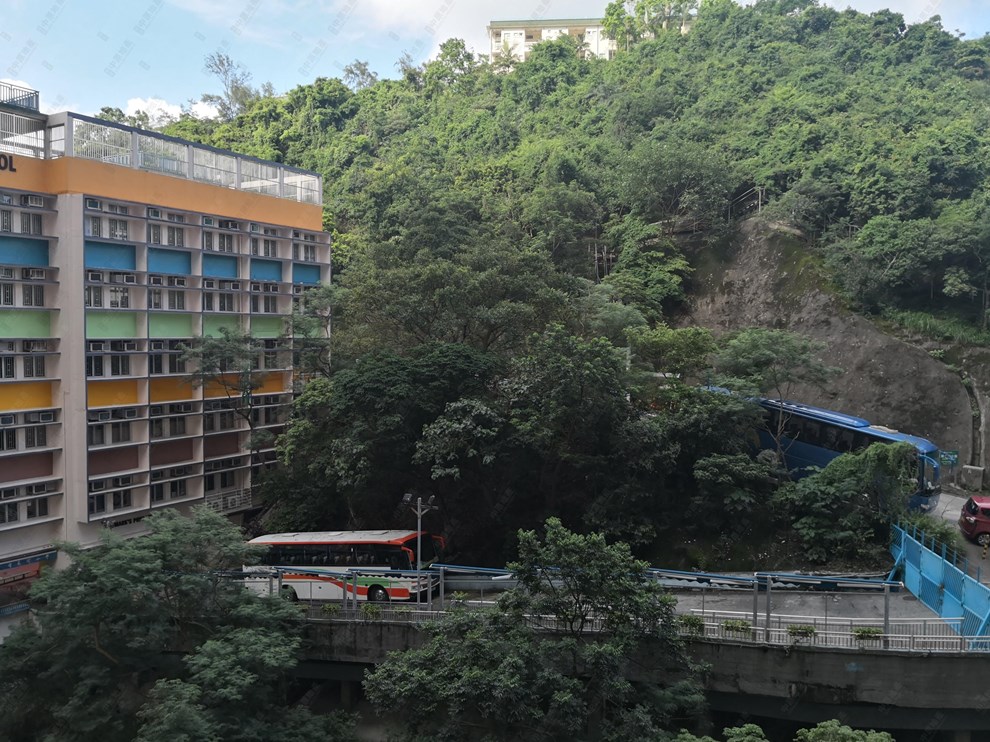 Outside View-Mountain View