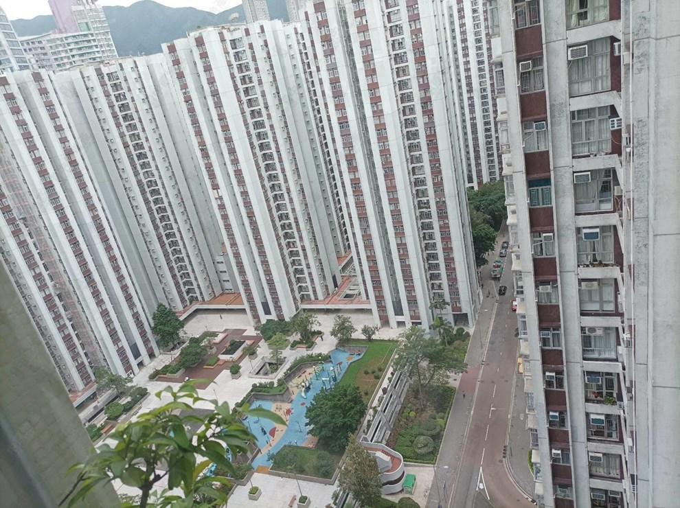 窗外景观-由客厅