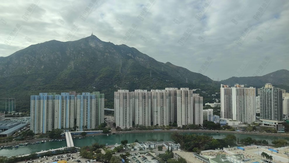 窗外景观-由客厅