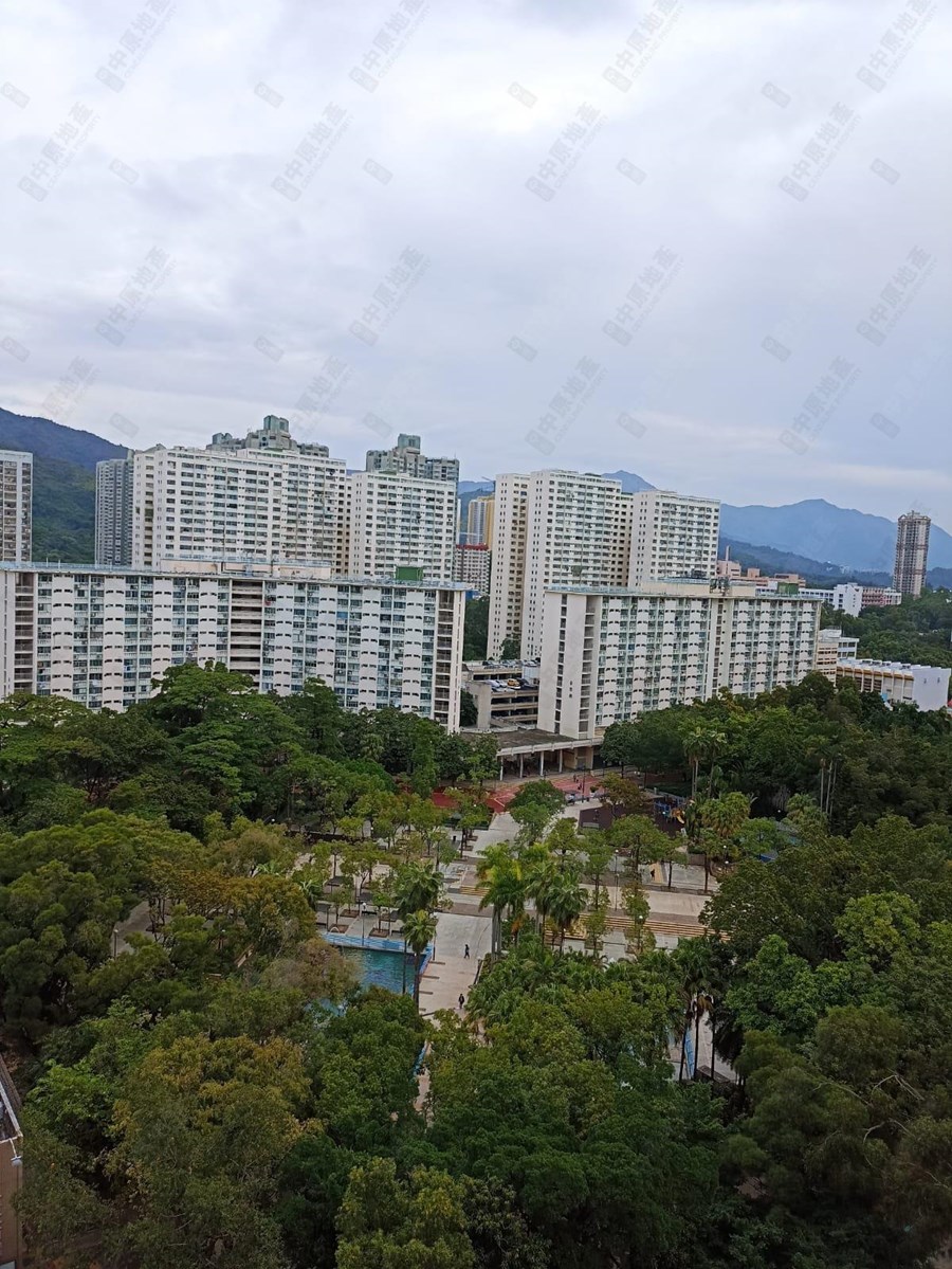 翠屏花園, 相片