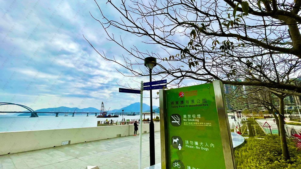 Nearby Environment-Nearby View