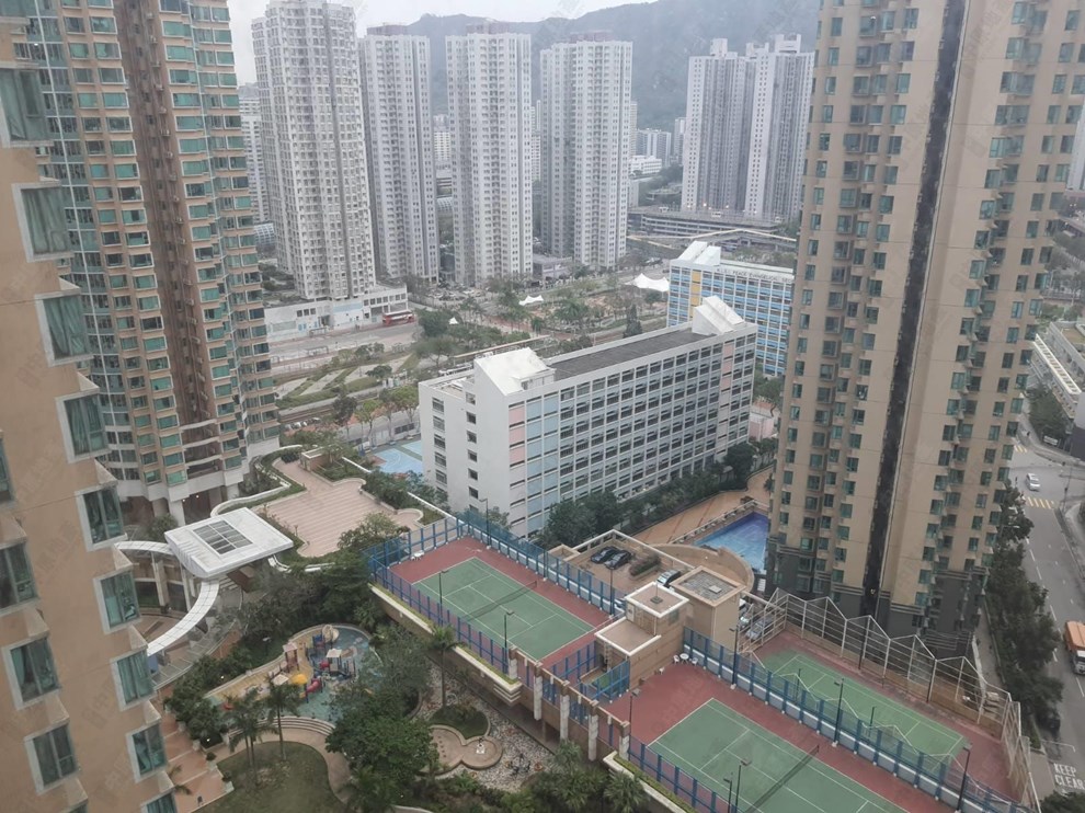 窗外景观-由主人房