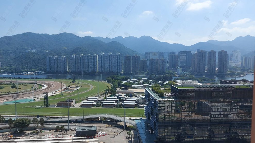 窗外景观-由客厅