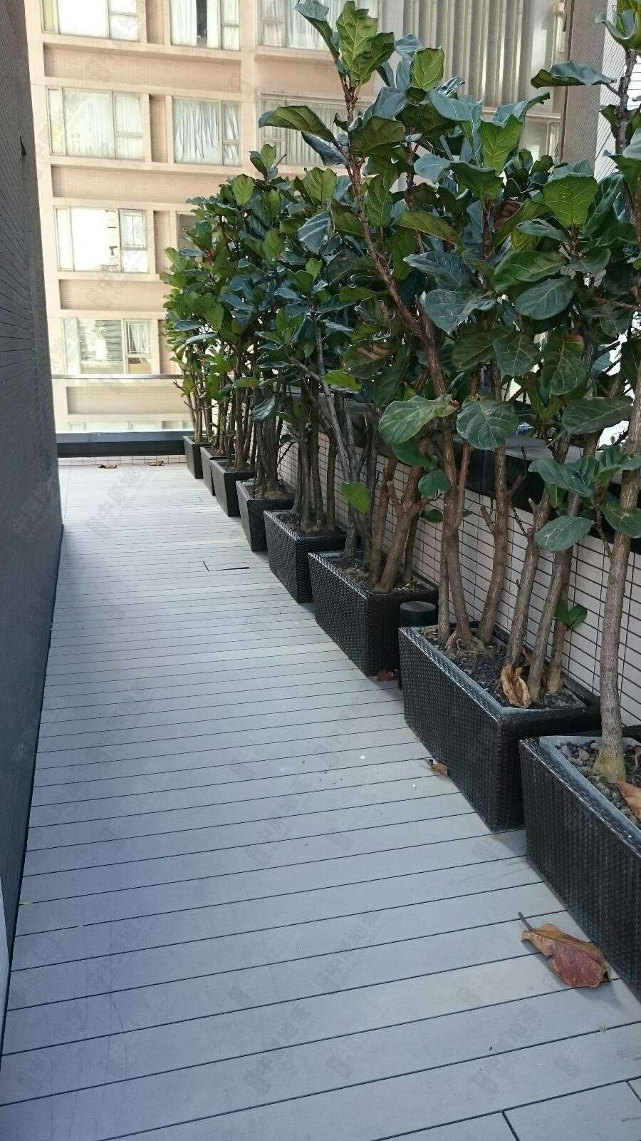 Unit Exterior-Terrace