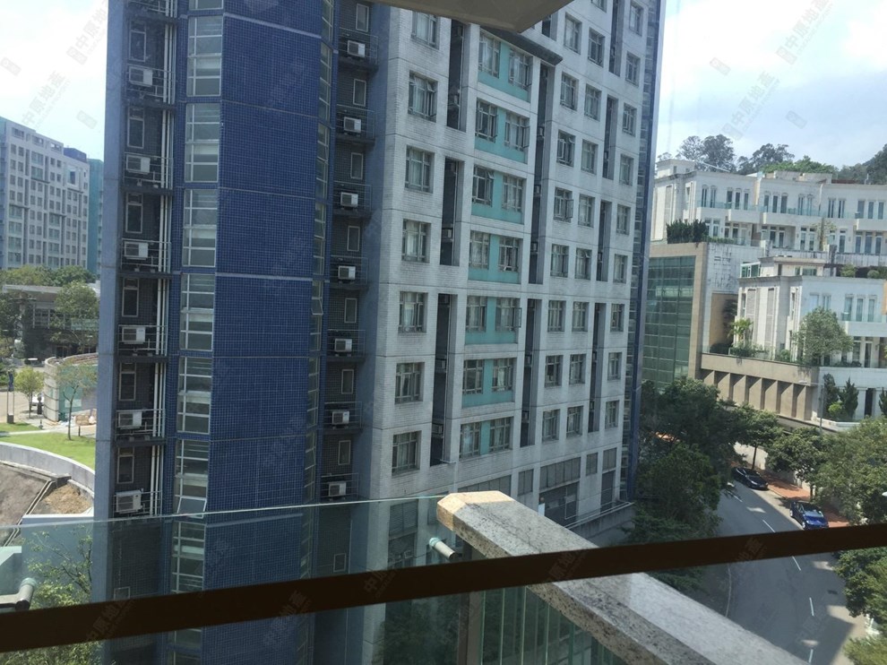 Outside View-From Dining Room