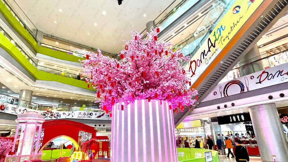 Nearby Environment-Shopping Mall