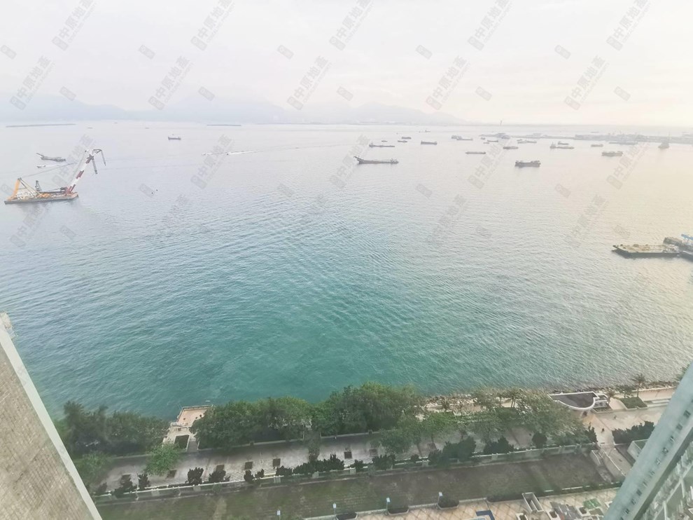 窗外景观-由客厅