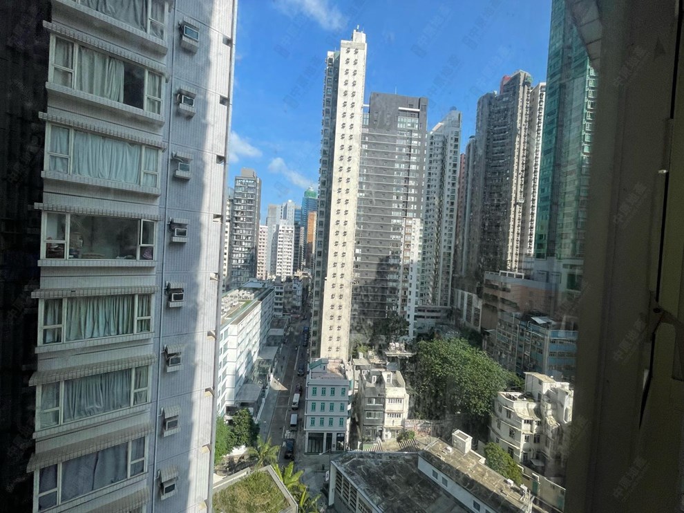 窗外景观-由主人房