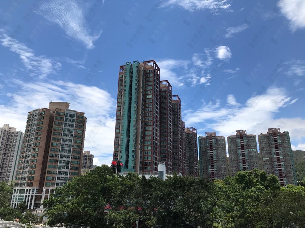 Estate-Outlook