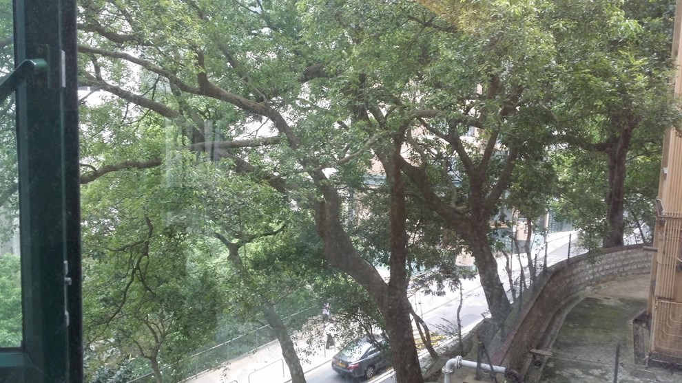 Outside View-From Living Room