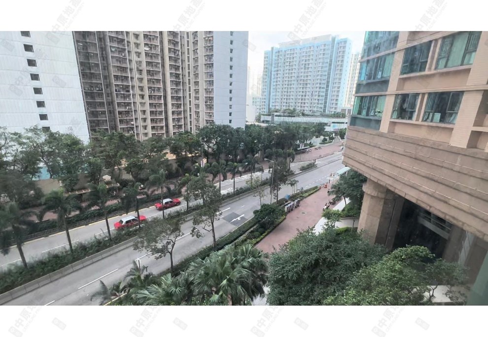 窗外景观-由客厅