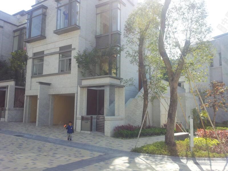 Outside View-Open View
