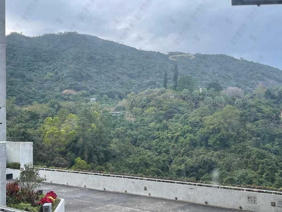 窗外景觀-由客廳