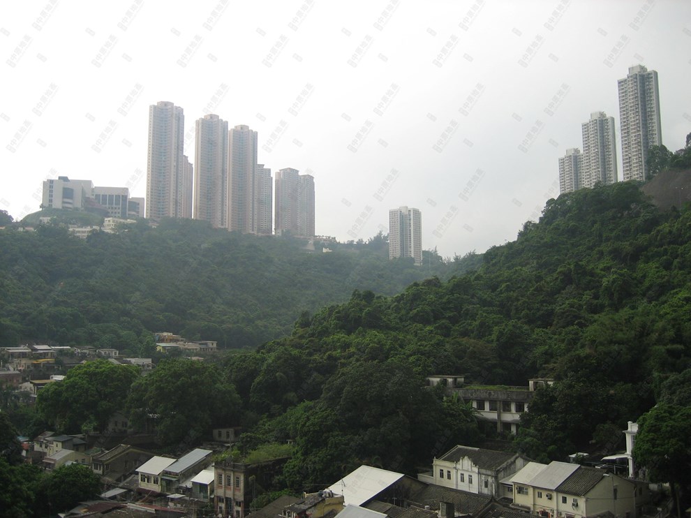 Nearby Environment-Nearby View