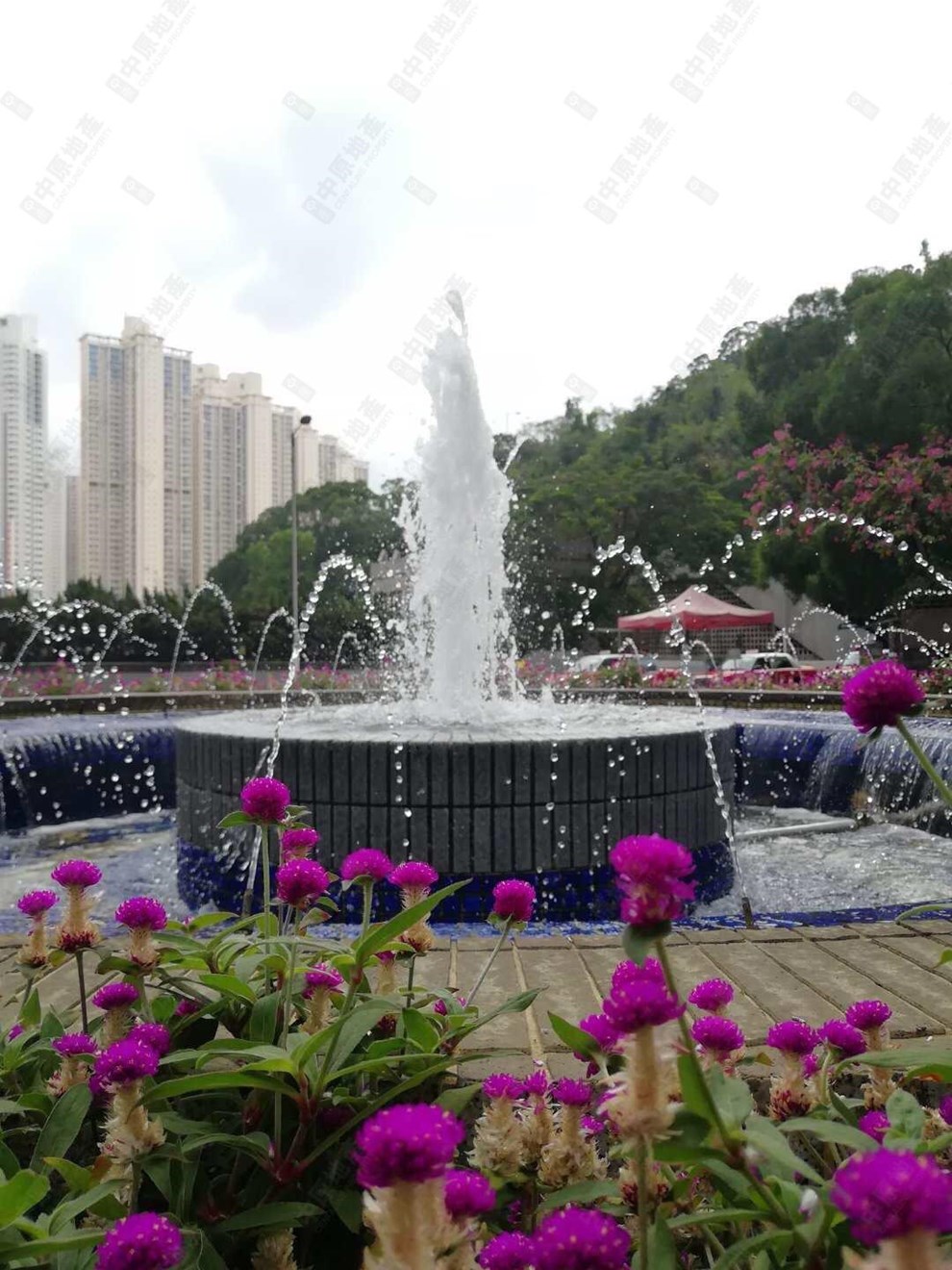 附近环境-周边景观