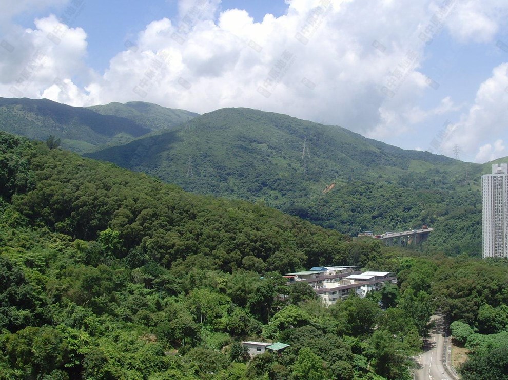 Nearby Environment-Nearby View