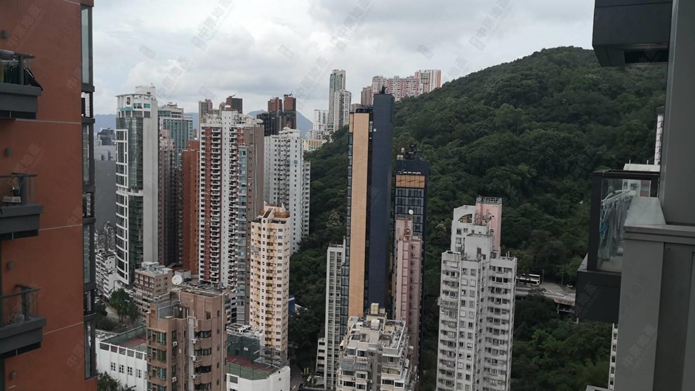窗外景觀-由客廳