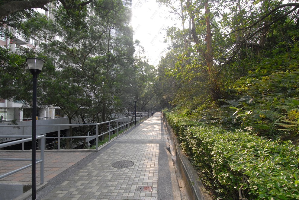 Nearby Environment-Nearby View