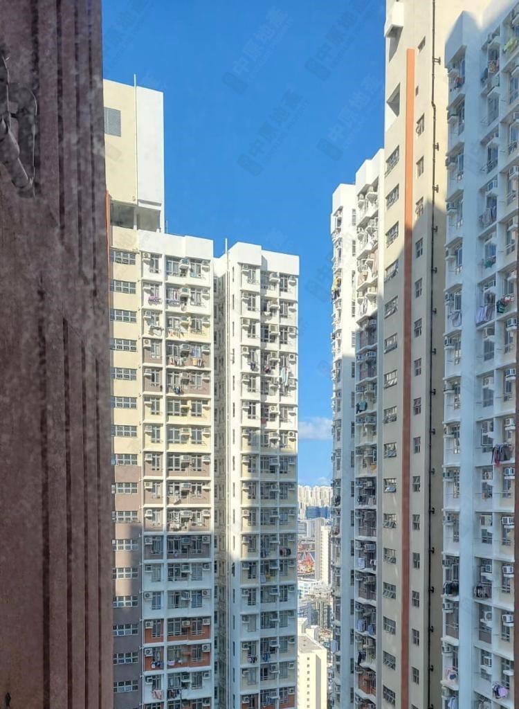 Outside View-From Living Room
