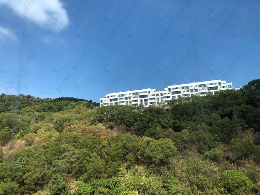 Outside View-From Living Room