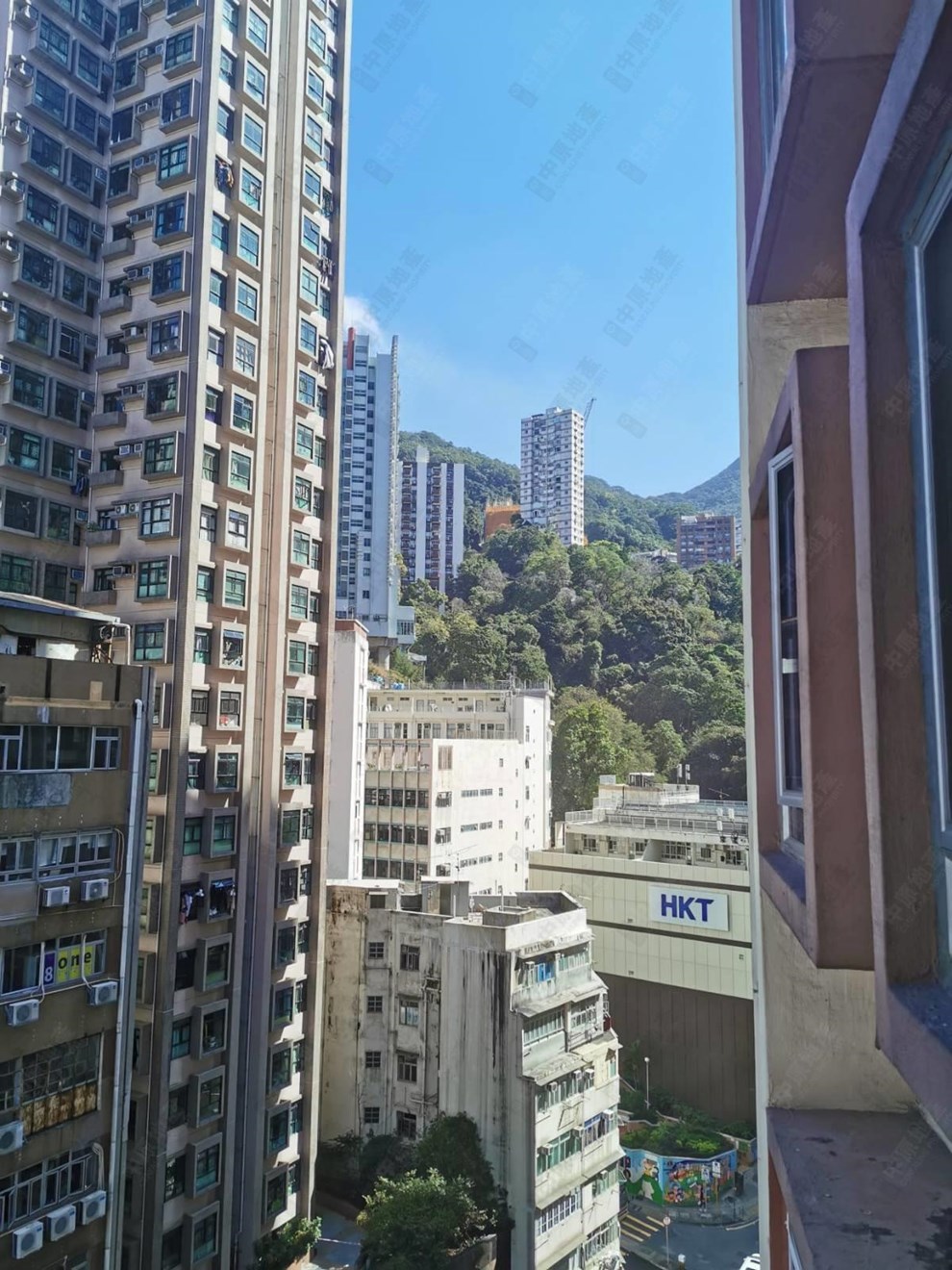 窗外景觀-由客廳