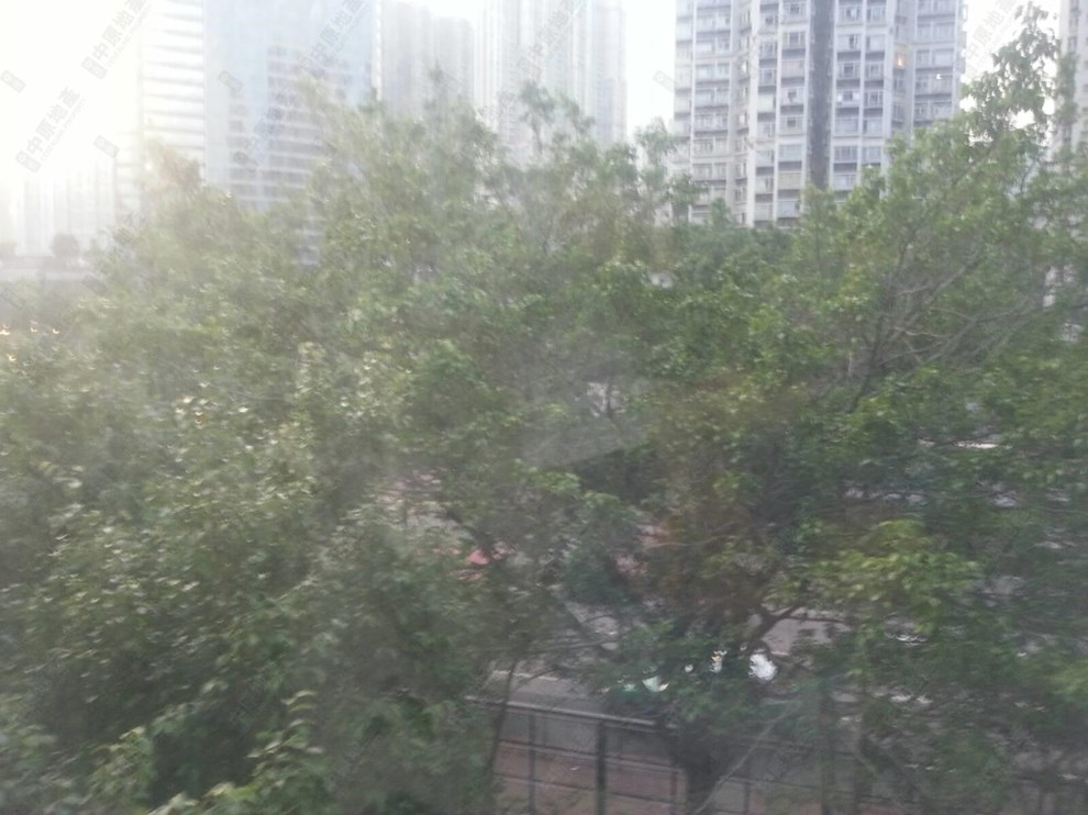 窗外景觀-由客廳