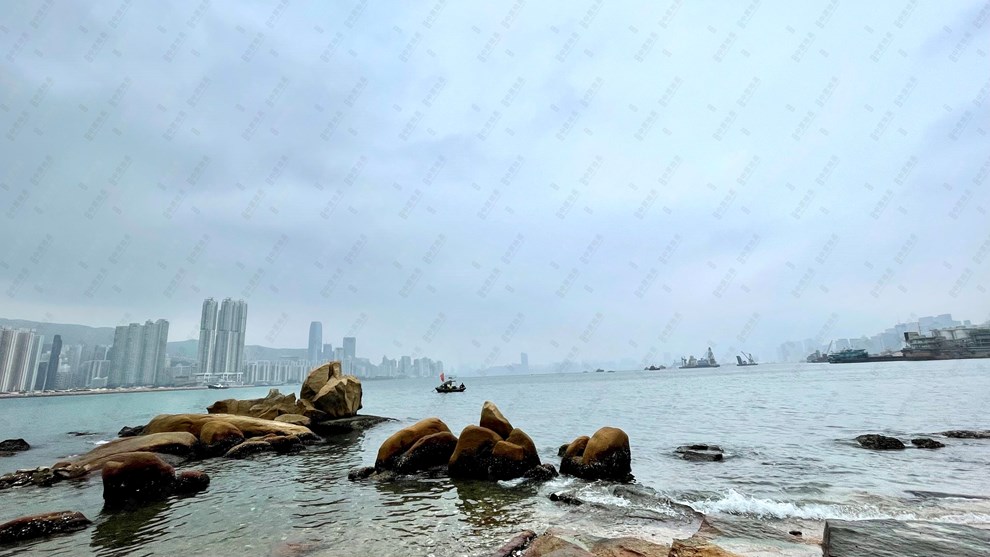 Nearby Environment-Nearby View