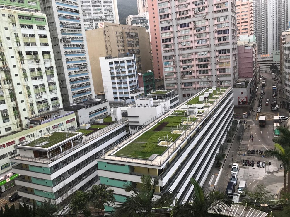 Nearby Environment-Nearby View