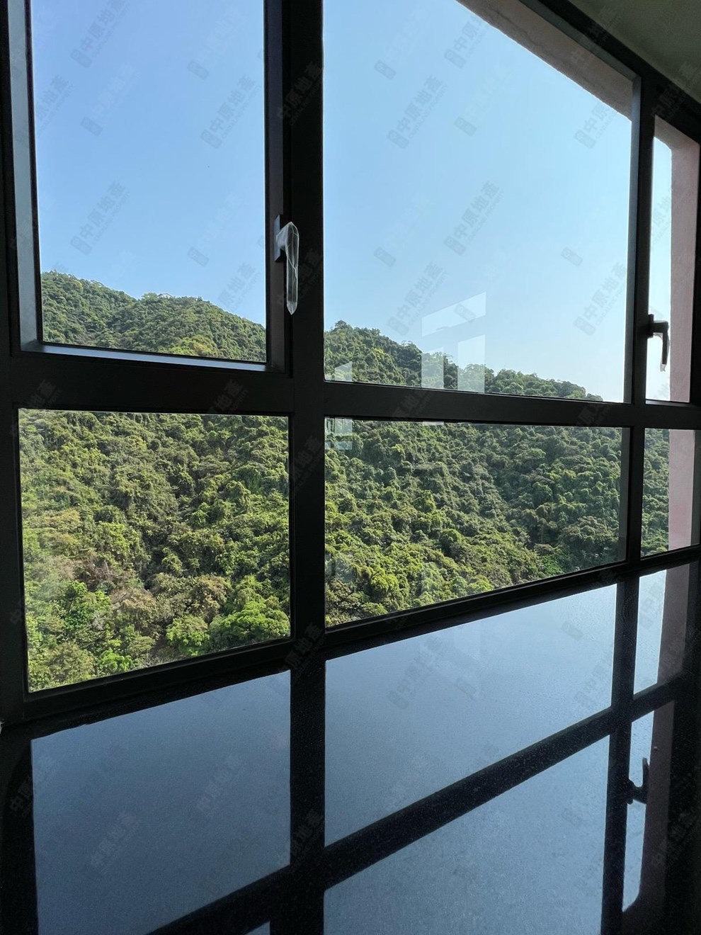Outside View-From Living Room