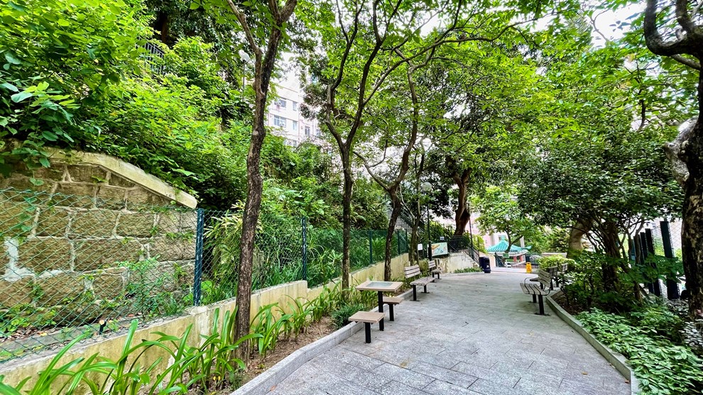 附近環境-公園