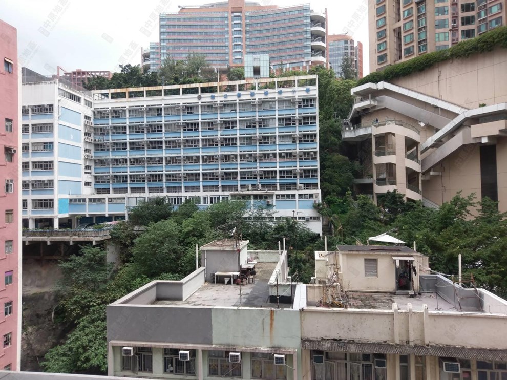窗外景觀-由露台