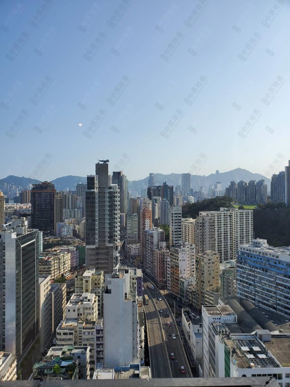 窗外景观-由客厅