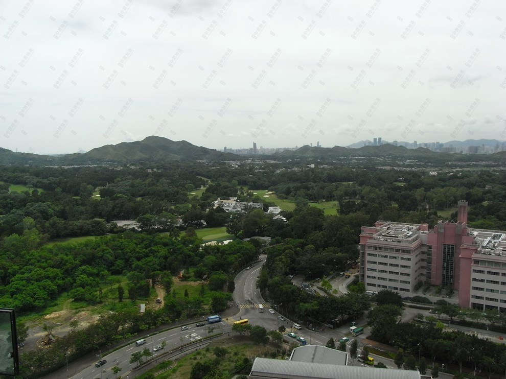 Nearby Environment-Nearby View