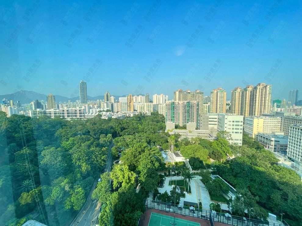 Outside View-From Living Room
