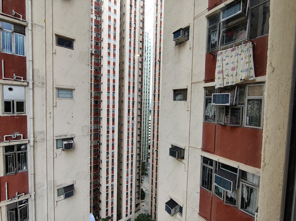 窗外景觀-由客廳