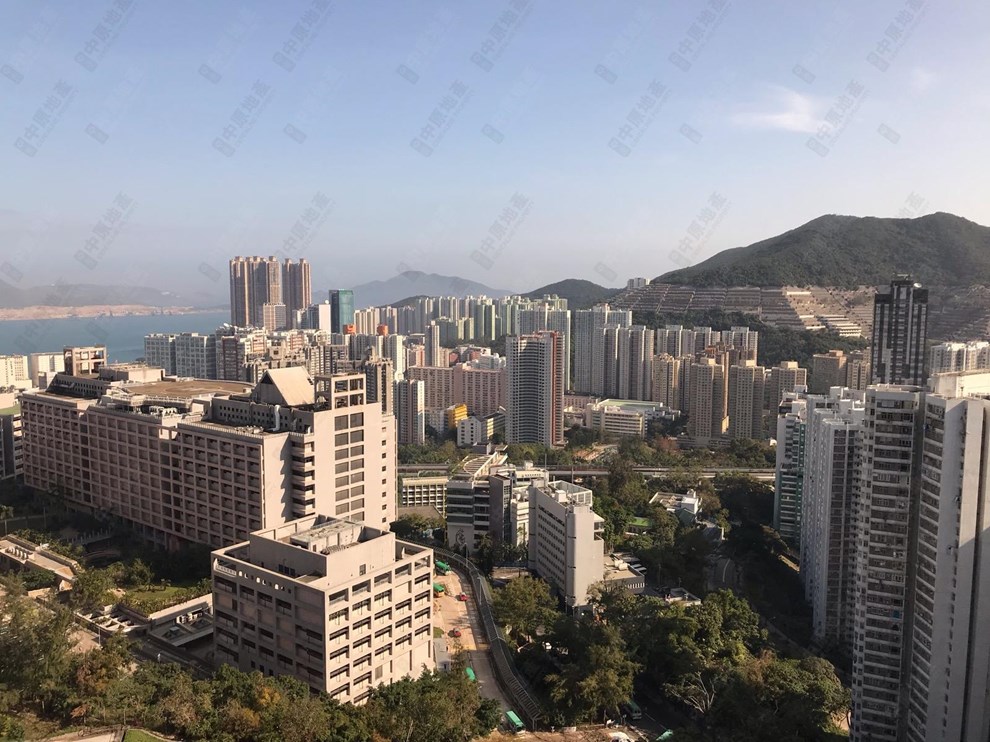 Nearby Environment-Nearby View