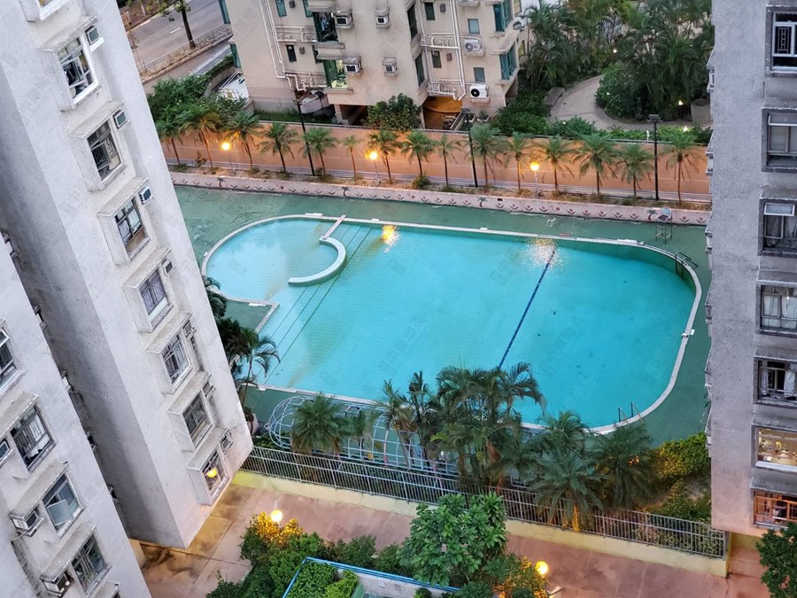 RAINBOW GARDEN, Photo
