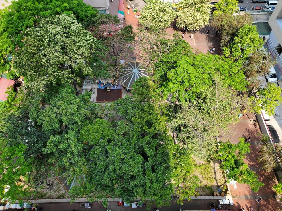 Nearby Environment-Park