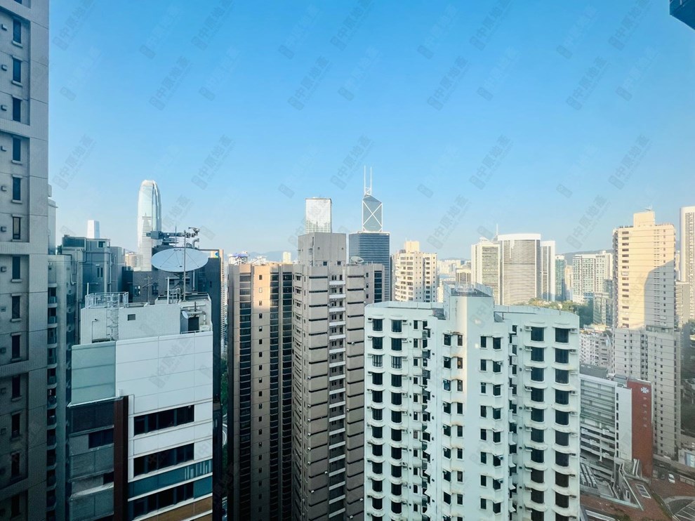 窗外景观-由客厅