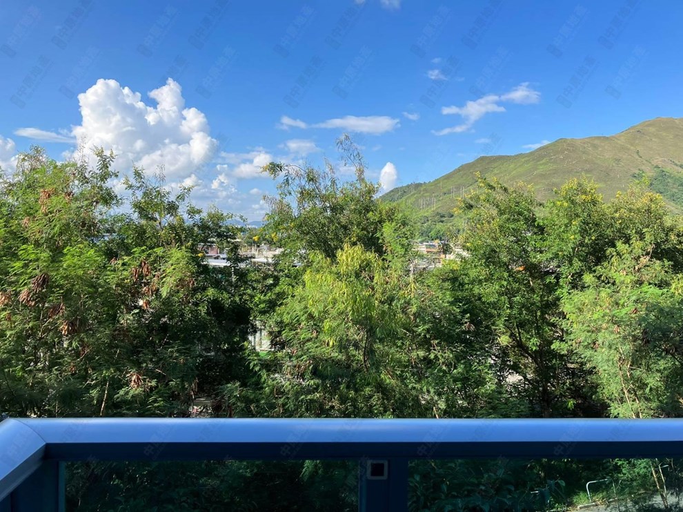 窗外景观-由客厅