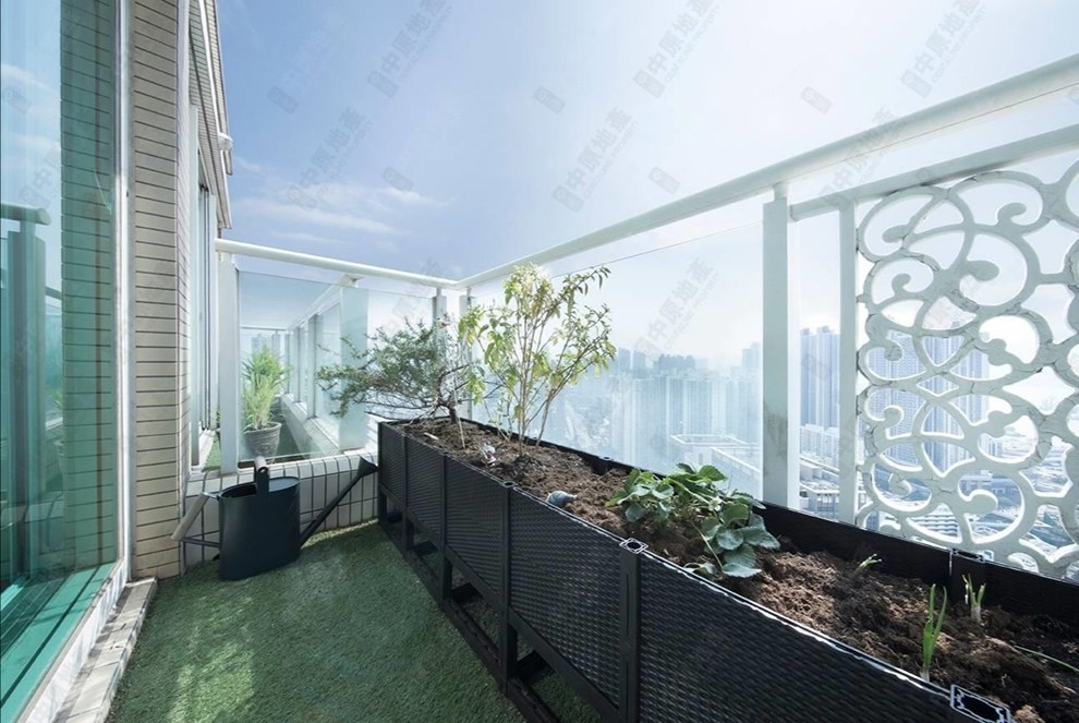 Outside View-From Balcony