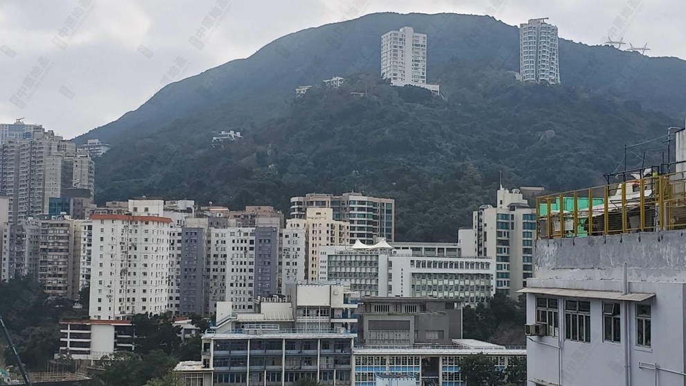 窗外景觀-由客廳