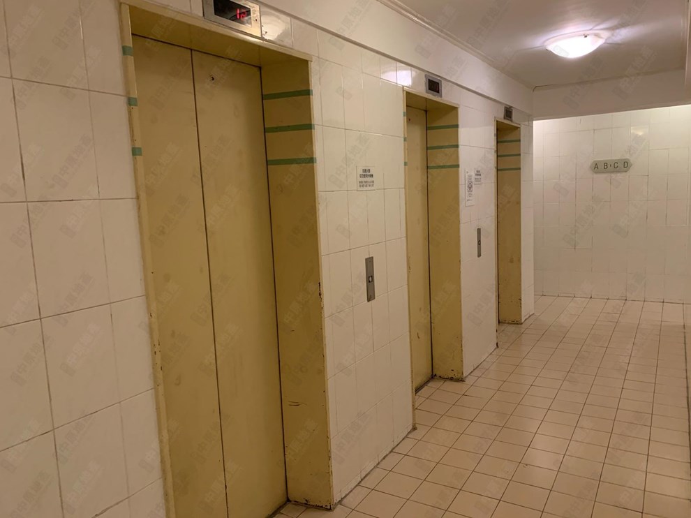 Building-Elevator