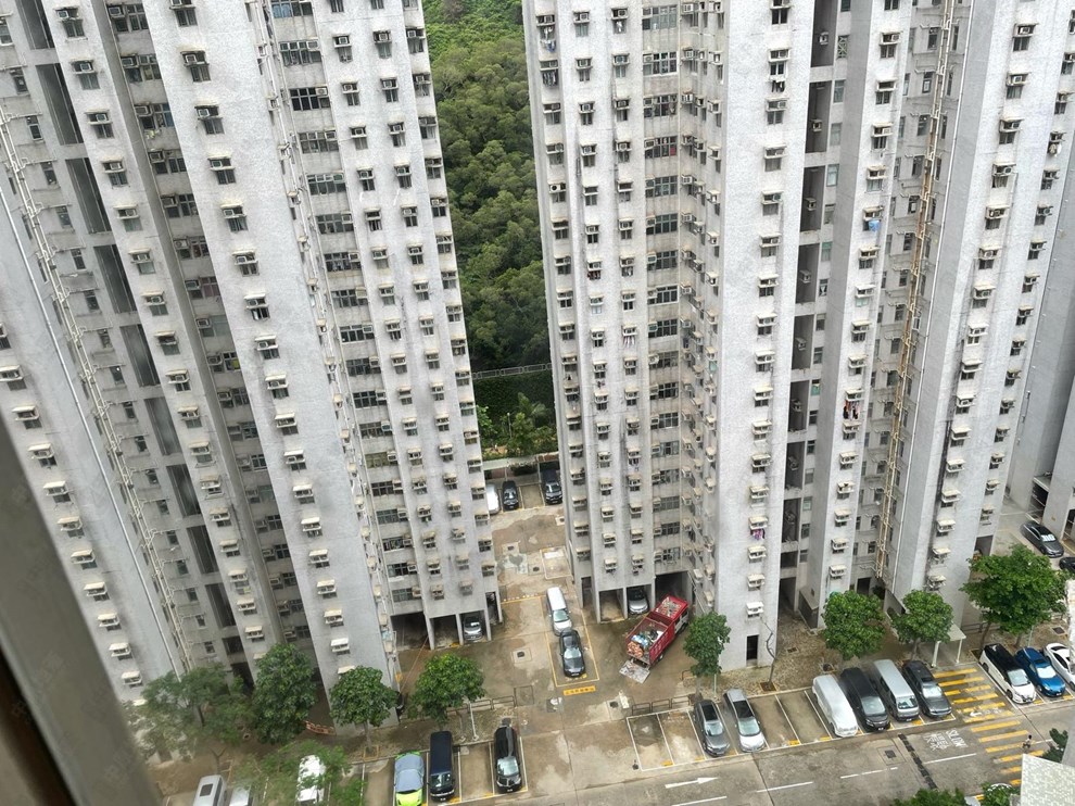 Outside View-From Living Room