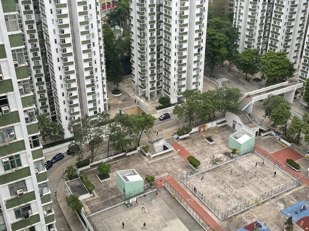 窗外景观-由客厅